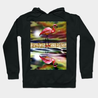 Flamingo Reflections Hoodie